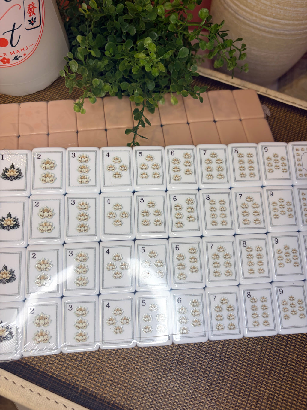 The Peach Prowl Mahjong Set